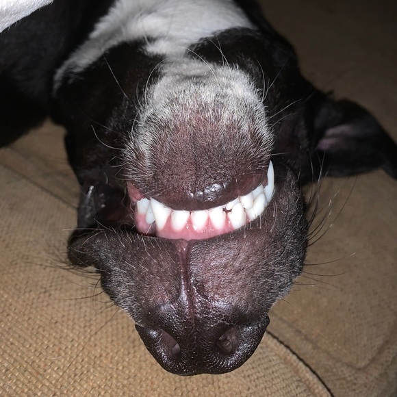 Meet your Posher, Kelly - Picture 1 of 1